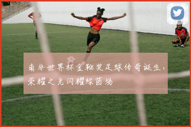 南非世界杯金靴奖足球传奇诞生，荣耀之光闪耀绿茵场