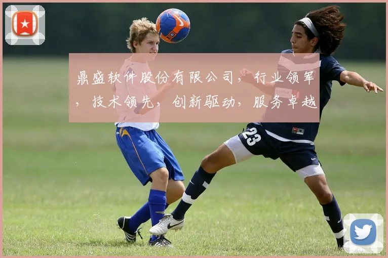 鼎盛软件股份有限公司，行业领军，技术领先，创新驱动，服务卓越，引领未来。