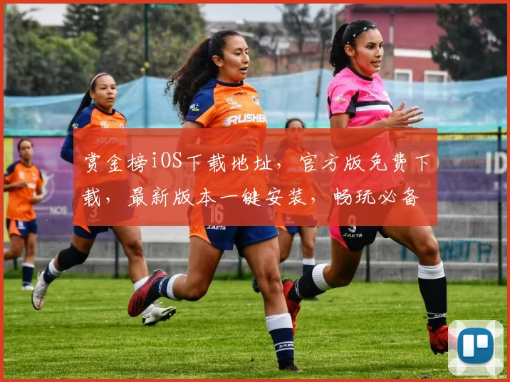 赏金榜iOS下载地址，官方版免费下载，最新版本一键安装，畅玩必备，三步轻松获取