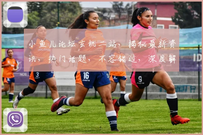 小鱼儿论坛玄机二站，揭秘最新资讯，热门话题，不容错过，深度解析逗逗逗